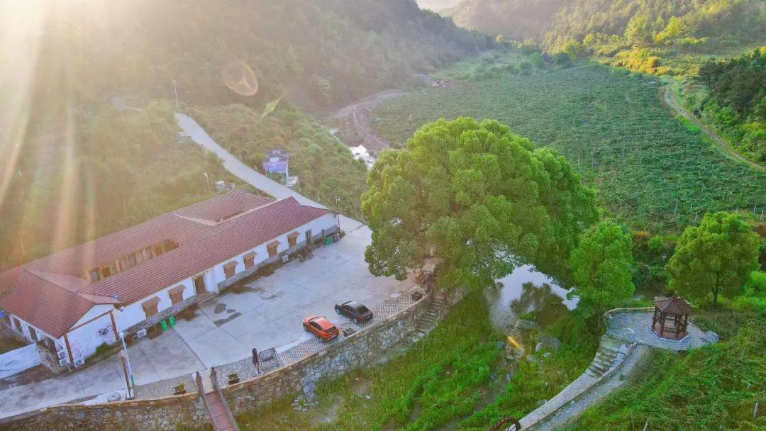 1625448233995034607.jpg 微信圖片_20210705092327.jpg