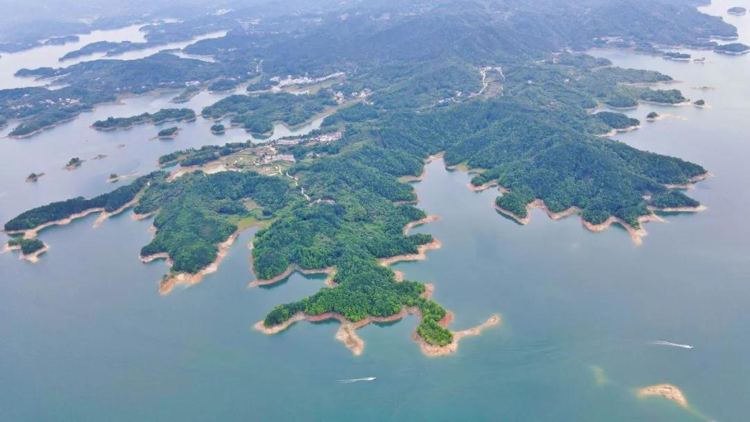 1626051656084069149.jpg 微信圖片_20210712085904.jpg