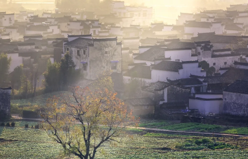 1632879099862095749.png image.png