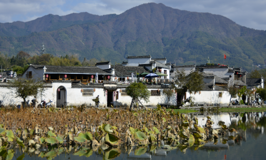 1646795913274022133.png image.png